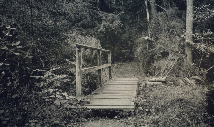 Brücke Im Wald